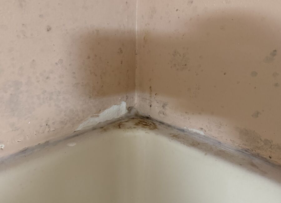 Close-up of moisture staining in a bathroom corner documented on-site